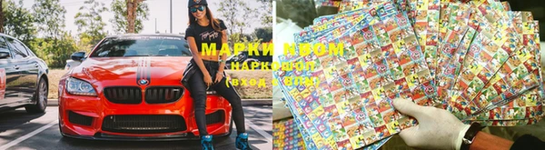 ГАЛЛЮЦИНОГЕННЫЕ ГРИБЫ Вяземский