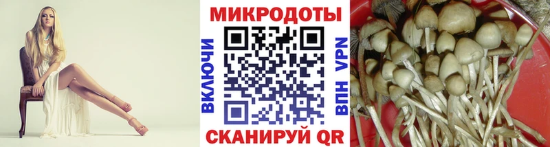Псилоцибиновые грибы ЛСД  Венёв 