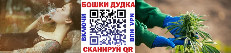 Канабис планчик Венёв